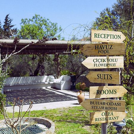 Olive Farm Of Datca Guesthouse (Adults Only) Kültér fotó