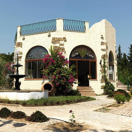 Olive Farm Of Datca Guesthouse (Adults Only) Kültér fotó
