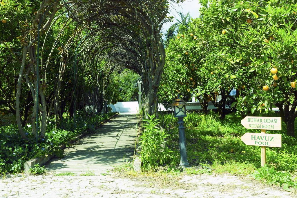 Olive Farm Of Datca Guesthouse (Adults Only) Kültér fotó