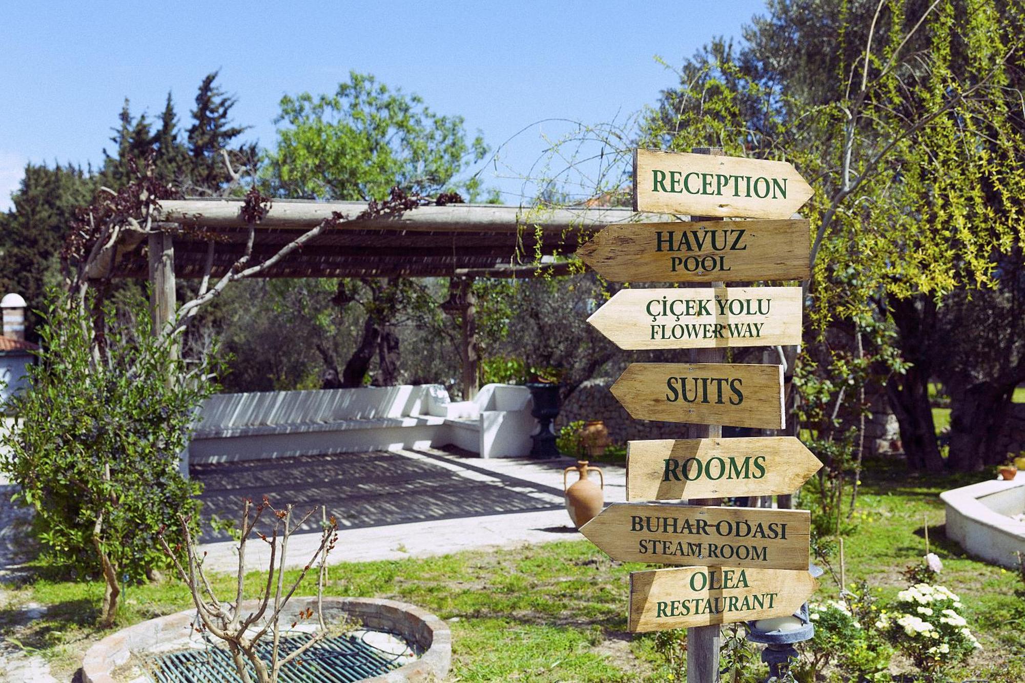 Olive Farm Of Datca Guesthouse (Adults Only) Kültér fotó