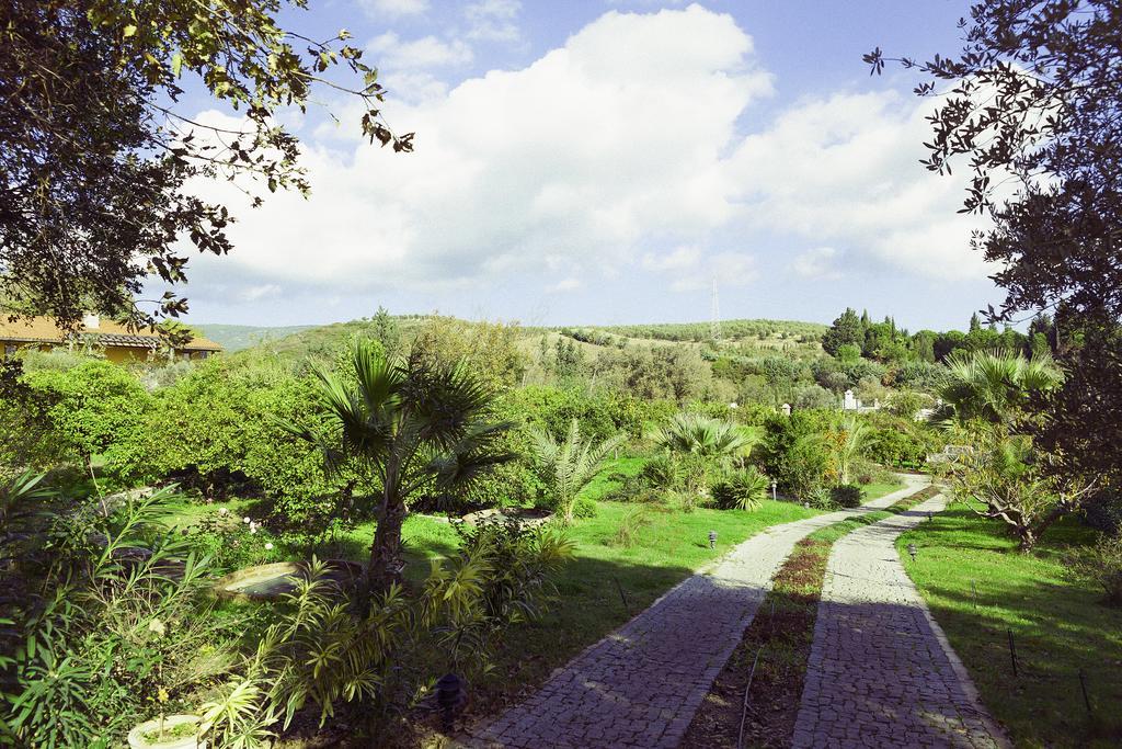 Olive Farm Of Datca Guesthouse (Adults Only) Kültér fotó