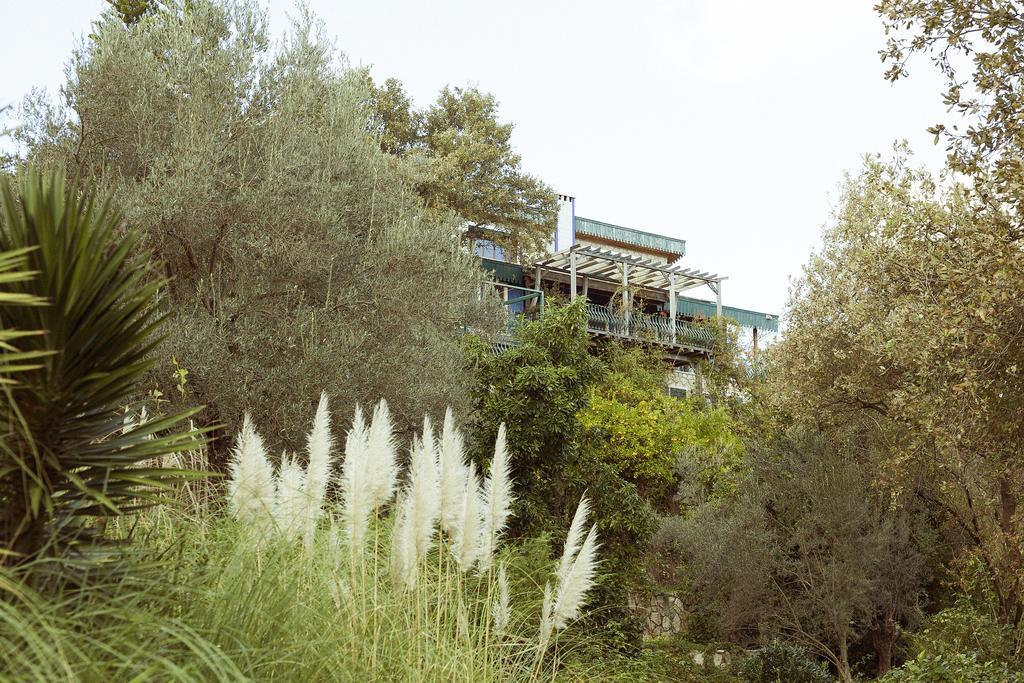 Olive Farm Of Datca Guesthouse (Adults Only) Kültér fotó