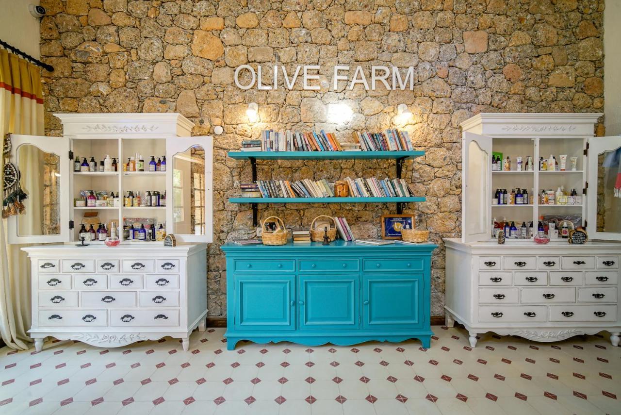 Olive Farm Of Datca Guesthouse (Adults Only) Kültér fotó