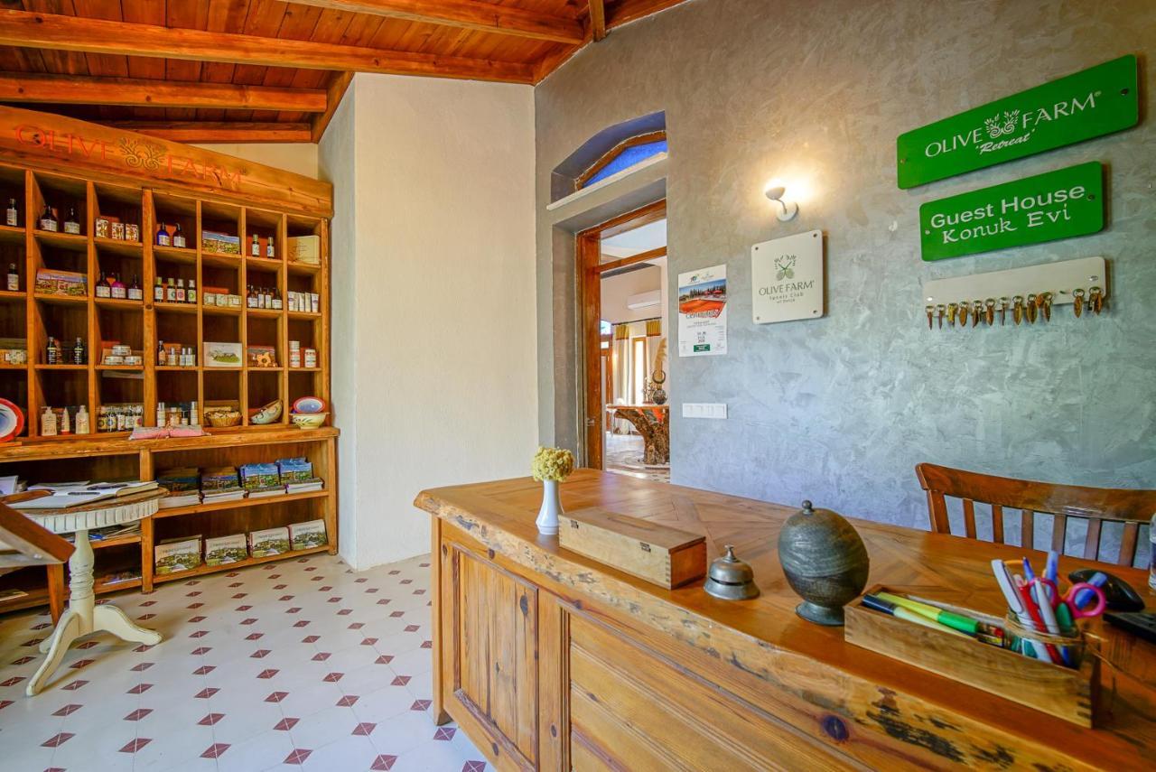 Olive Farm Of Datca Guesthouse (Adults Only) Kültér fotó