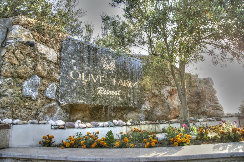 Olive Farm Of Datca Guesthouse (Adults Only) Kültér fotó