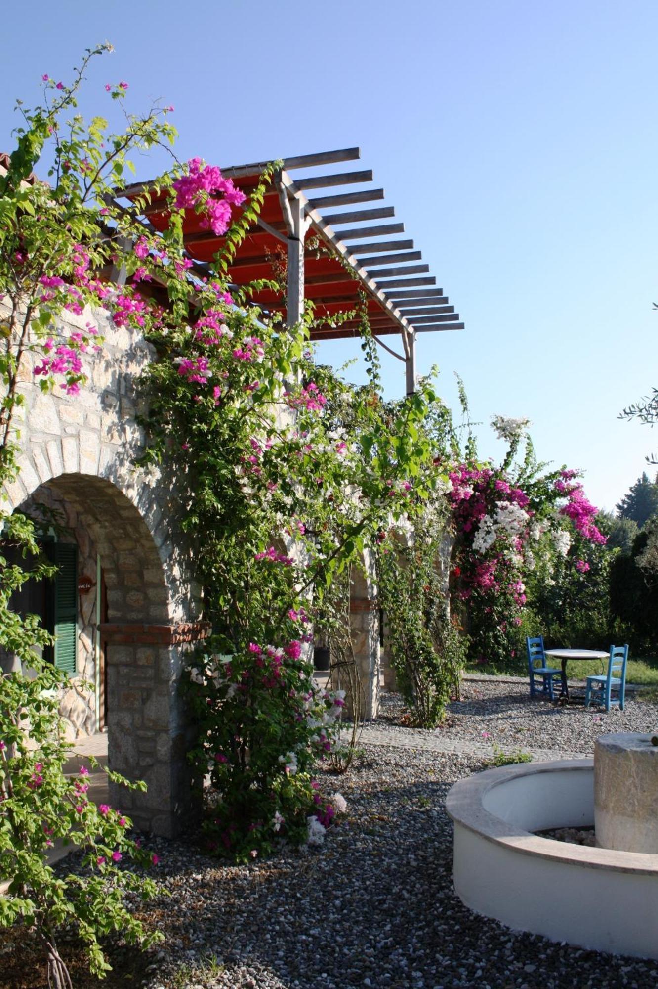 Olive Farm Of Datca Guesthouse (Adults Only) Kültér fotó