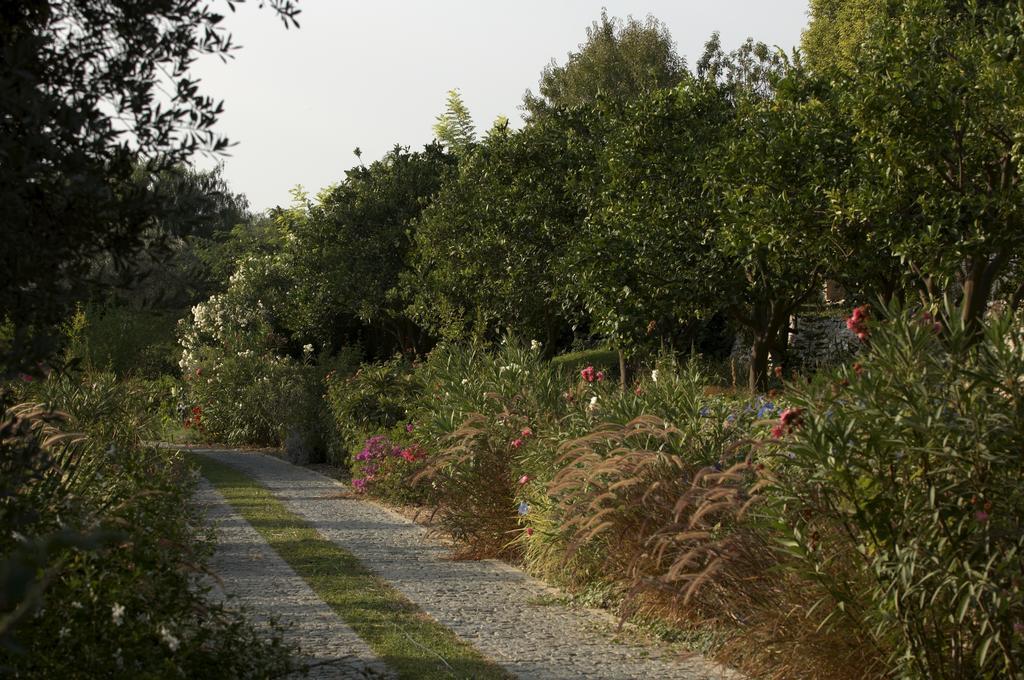Olive Farm Of Datca Guesthouse (Adults Only) Kültér fotó