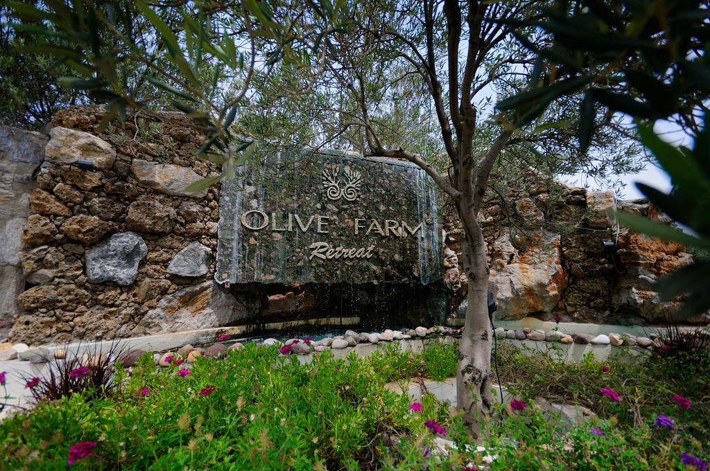 Olive Farm Of Datca Guesthouse (Adults Only) Kültér fotó