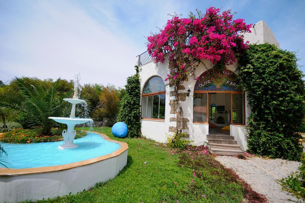 Olive Farm Of Datca Guesthouse (Adults Only) Kültér fotó