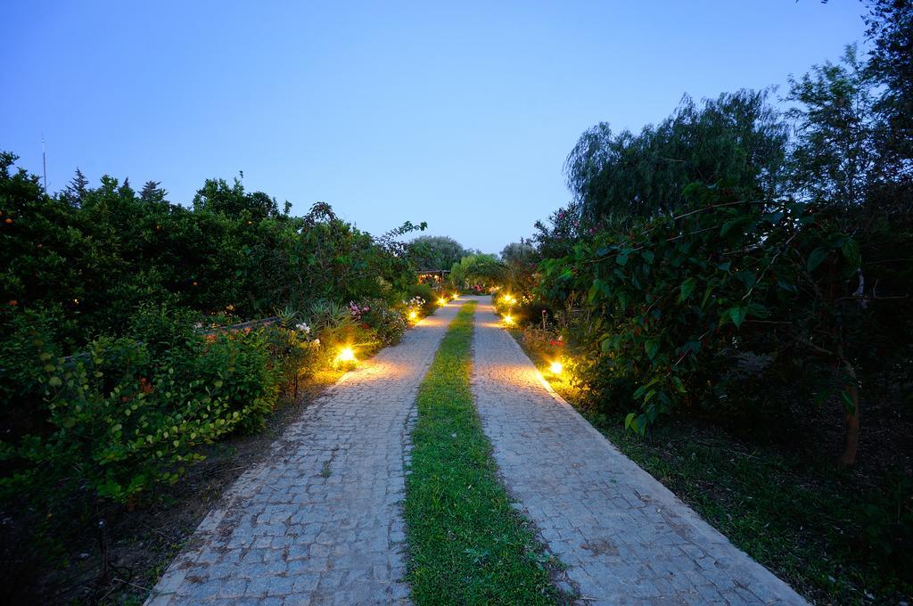 Olive Farm Of Datca Guesthouse (Adults Only) Kültér fotó