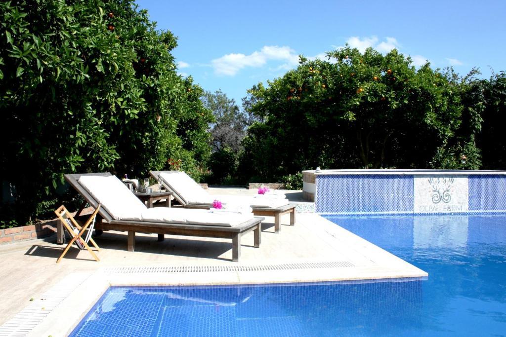Olive Farm Of Datca Guesthouse (Adults Only) Kültér fotó