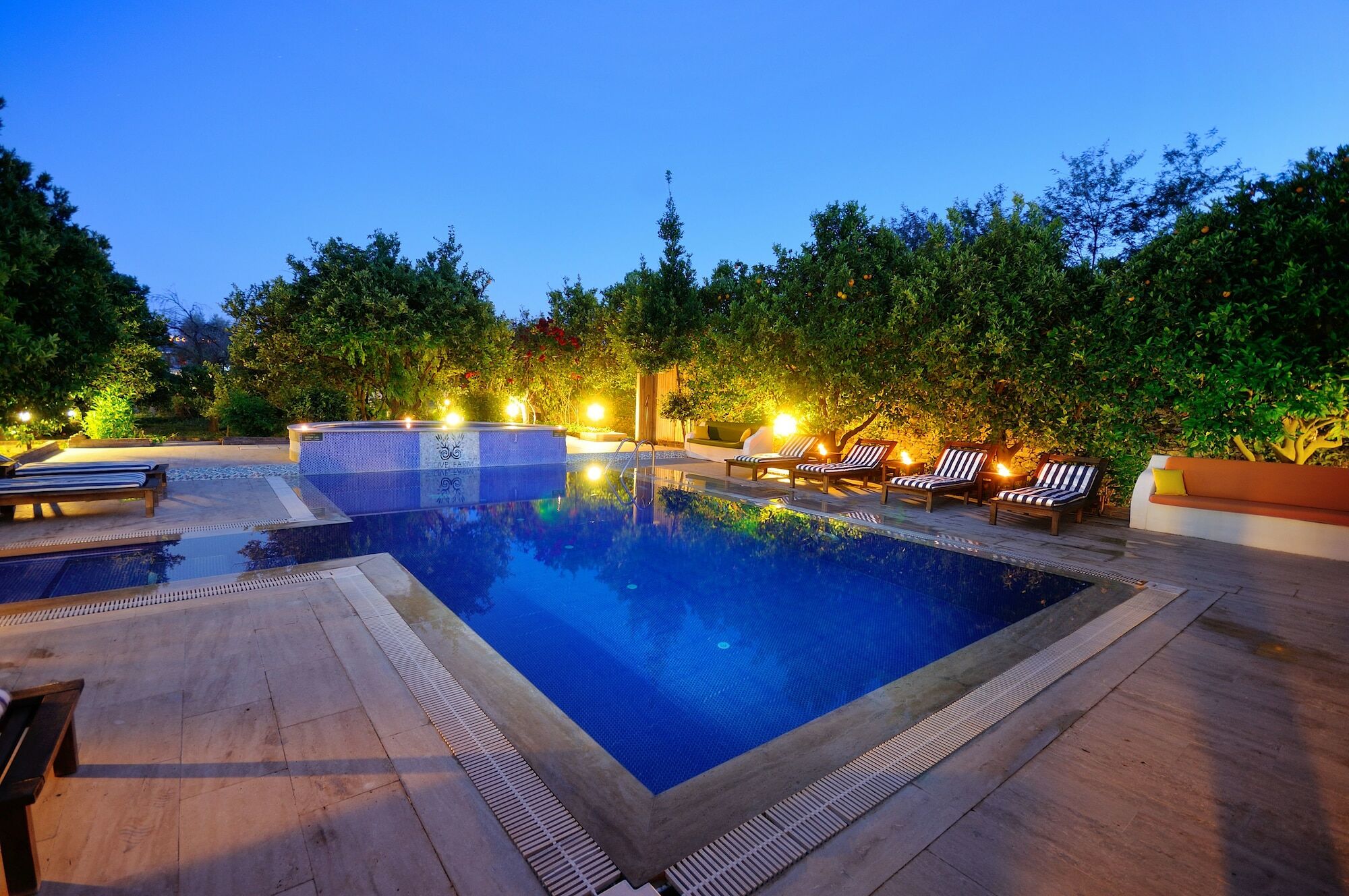 Olive Farm Of Datca Guesthouse (Adults Only) Kültér fotó
